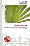 Ravenea nana