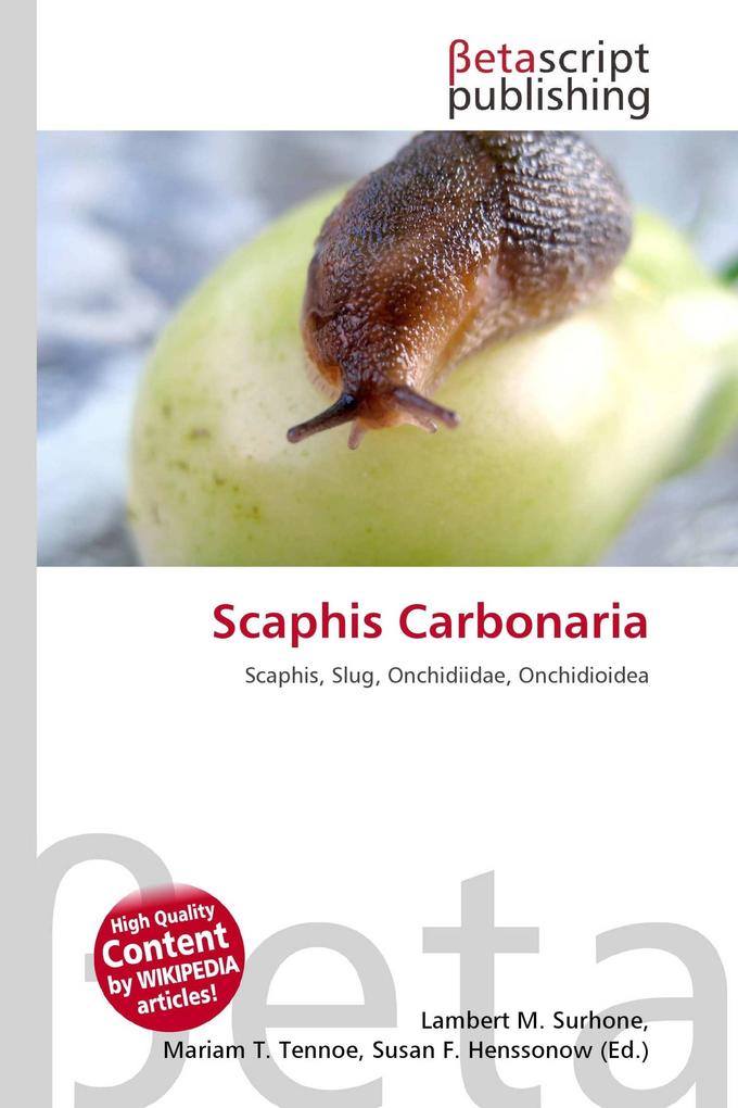 Scaphis Carbonaria