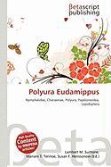 Polyura Eudamippus