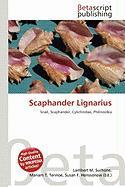 Scaphander Lignarius
