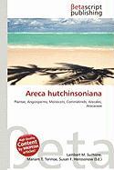 Areca hutchinsoniana