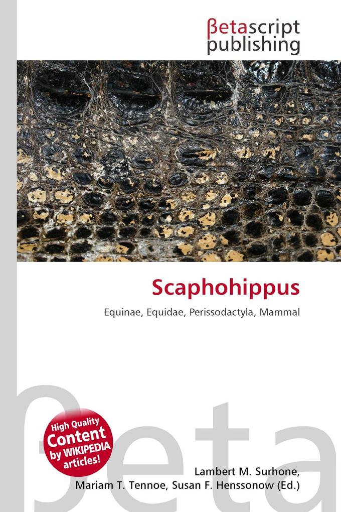 Scaphohippus