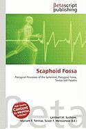Scaphoid Fossa