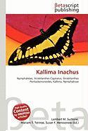 Kallima Inachus