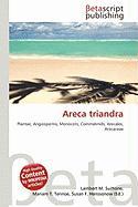 Areca triandra