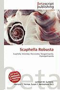 Scaphella Robusta