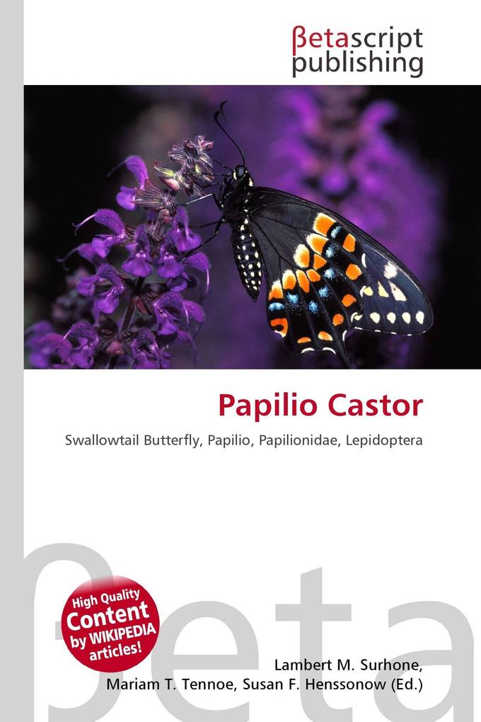 Papilio Castor