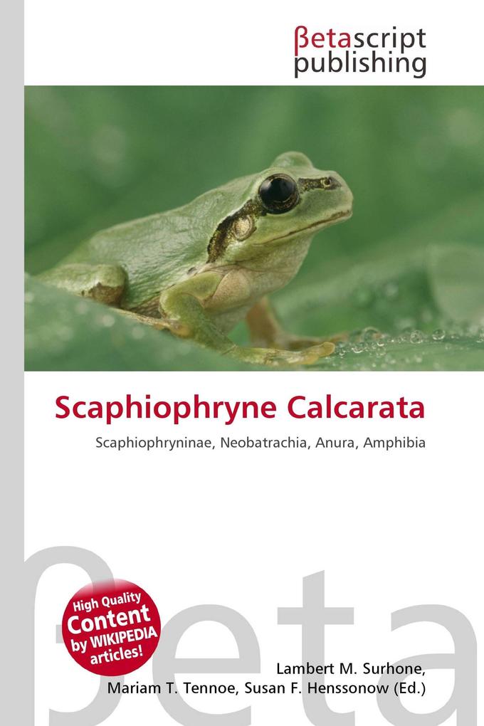 Scaphiophryne Calcarata