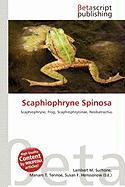 Scaphiophryne Spinosa