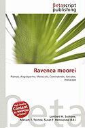 Ravenea moorei