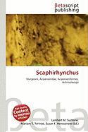 Scaphirhynchus