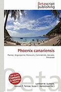 Phoenix canariensis
