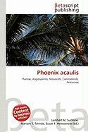 Phoenix acaulis
