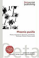 Phoenix pusilla