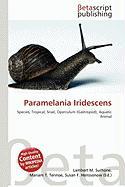 Paramelania Iridescens