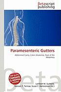 Paramesenteric Gutters