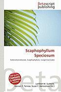 Scaphophyllum Speciosum