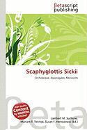 Scaphyglottis Sickii