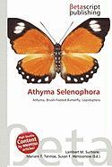 Athyma Selenophora