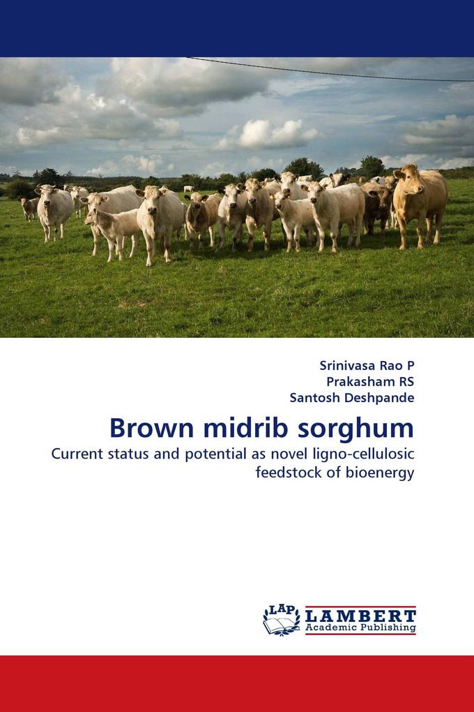 Brown midrib sorghum