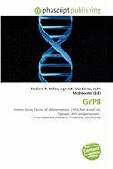 GYPB