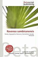 Ravenea sambiranensis