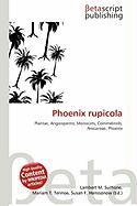 Phoenix rupicola