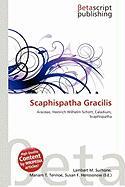 Scaphispatha Gracilis