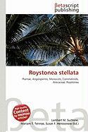 Roystonea stellata