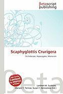 Scaphyglottis Crurigera