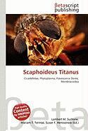 Scaphoideus Titanus