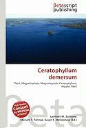 Ceratophyllum demersum