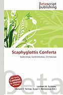 Scaphyglottis Conferta