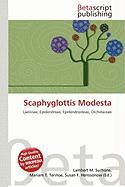 Scaphyglottis Modesta