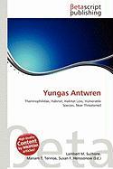 Yungas Antwren