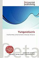 Yungavolucris