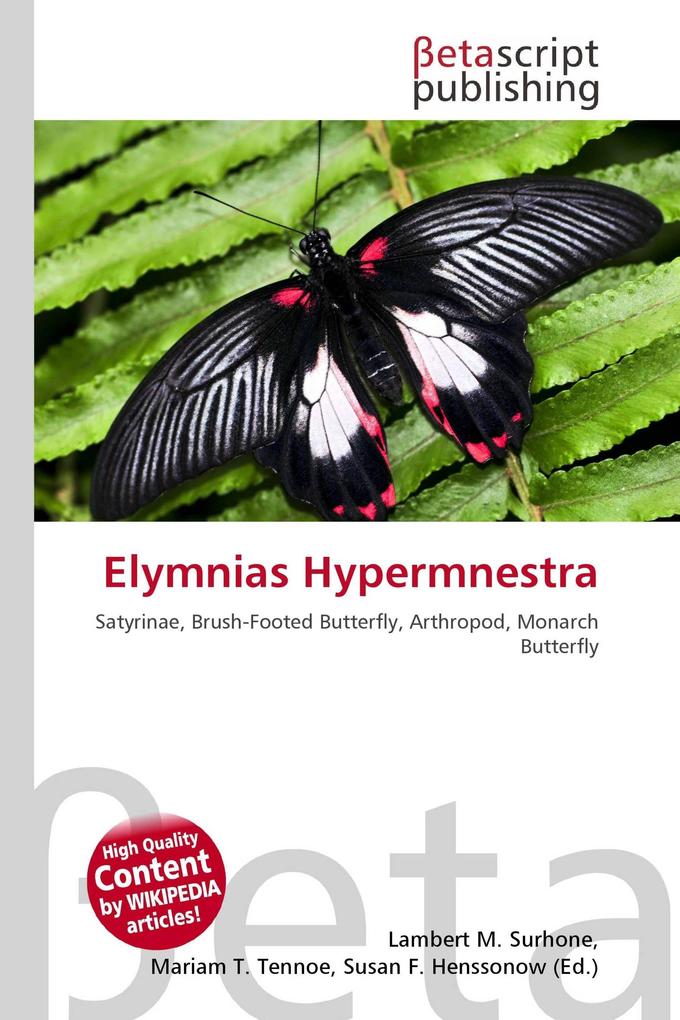Elymnias Hypermnestra