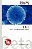 B Cell