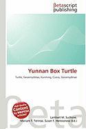 Yunnan Box Turtle