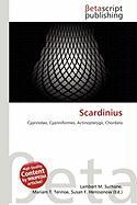 Scardinius