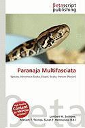 Paranaja Multifasciata