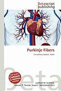 Purkinje Fibers