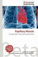 Papillary Muscle