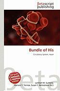 Bundle of His