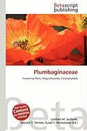 Plumbaginaceae