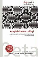 Amphisbaena ridleyi