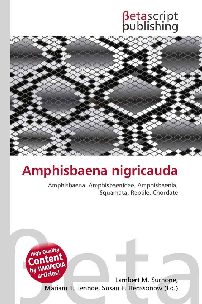 Amphisbaena nigricauda
