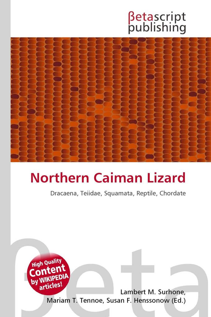 Northern Caiman Lizard