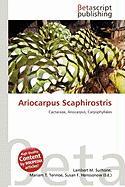 Ariocarpus Scaphirostris