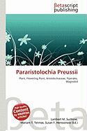 Pararistolochia Preussii